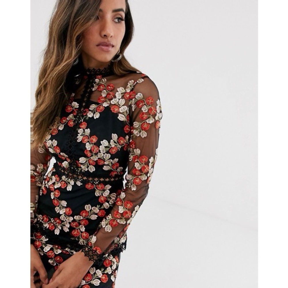 ASOS Mesh Embroidered Dress